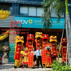 Dịch vụ múa lân sư rồng