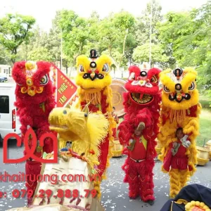 So sánh giữa các tiét mục múa lân