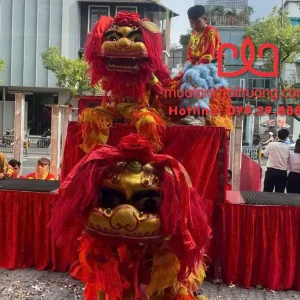 Thuê dịch vụ múa lân khai trương tại Gò Vấp