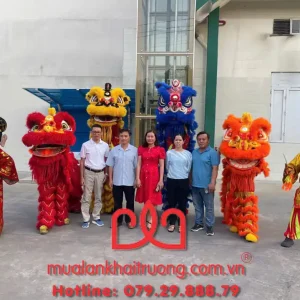 Quy trình tổ chức của MLKT