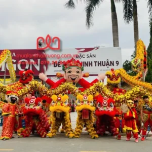 Cho thuê múa lân khai trương quận 11