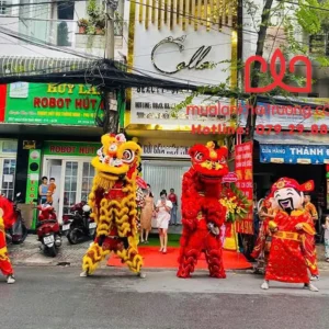 Cho thuê múa lân