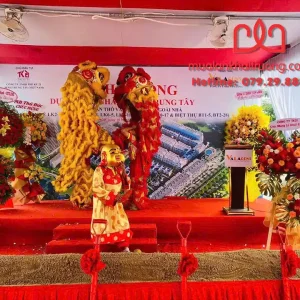 sự khác biệt các hình thức múa lân