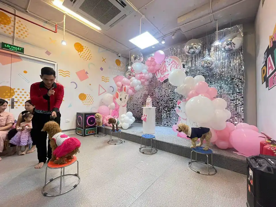 Sân khấu bong bóng theo yêu cầu