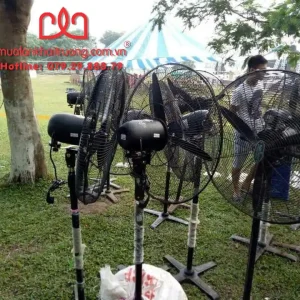 Cho thuê quạt công nghiệp giá tốt phục vụ sự kiện ngoài trời và nhà xưởng